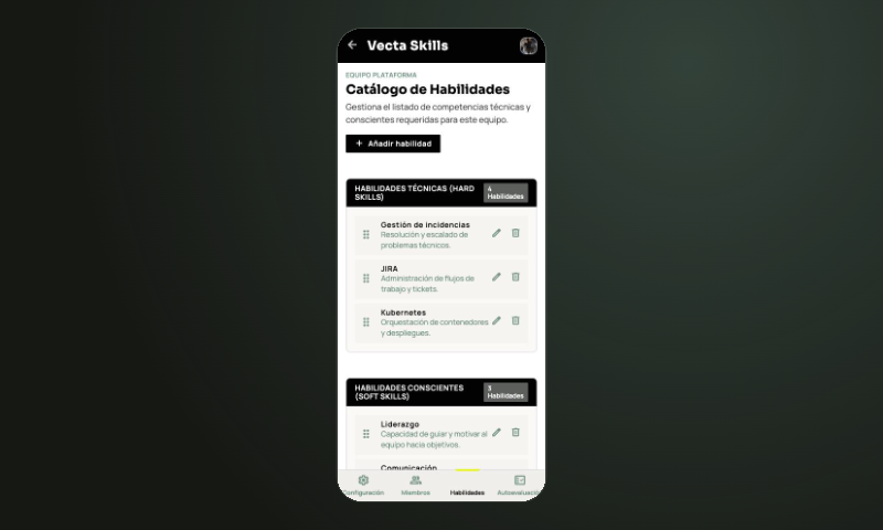Mapa de Delegación · app Vecta Skills usada en sesión